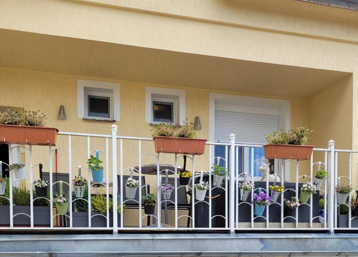 Pension Relax U Komina Františkovy Lázně Zewnętrze zdjęcie
